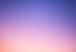 苹果最新机型爆料图片高清