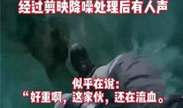 粉丝爆料苍狼事件视频大全,粉丝爆料揭秘惊心动魄真相