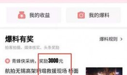 头条爆料陕西人视频,揭秘当地风情与文化魅力