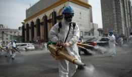 杀虫队队员爆料视频,揭秘虫害防治背后的惊险瞬间