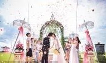 婚礼 在线观看