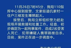 寿光最新爆料事件新闻,事件真相逐步浮出水面