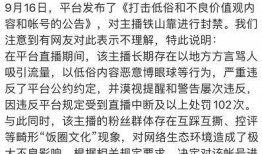 爆料铁山靠的视频,视频爆料背后的惊人真相