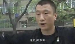征服全集电视在线观看,在线观看，领略权谋巅峰之作