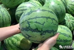 金华最新吃瓜事件爆料是真的吗,真相揭秘还是无稽之谈？